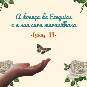 Curso