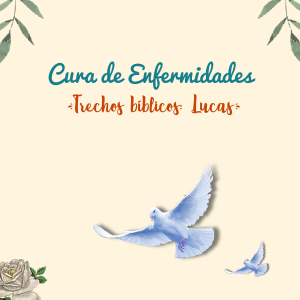 Curso